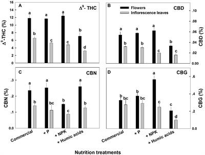 Impact of N, P, K, and Humic Acid Supplementation on the Chemical Profile of Medical Cannabis (Cannabis sativa L)